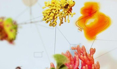 Inside the Race for the Next Biotech Revolution