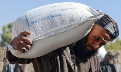 Afghanistan crisis: Taliban expands ‘food for work’ programme