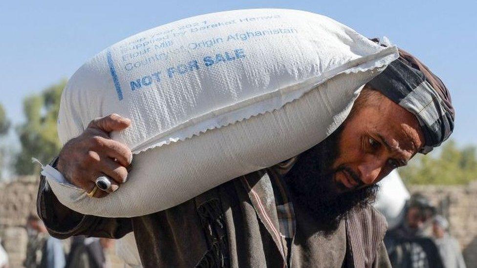 Afghanistan crisis: Taliban expands 'food for work' programme