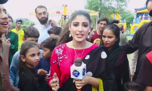 Pakistani journalist explains why she slapped boy on live TV.