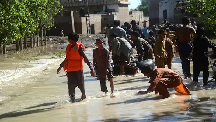 Pak Minister On Flood Aid From India: Government Will Consult Allies