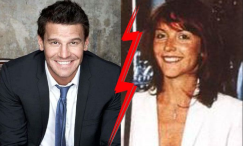 INGRID QUINN DAVID BOREANAZ, NET WORTH 2022