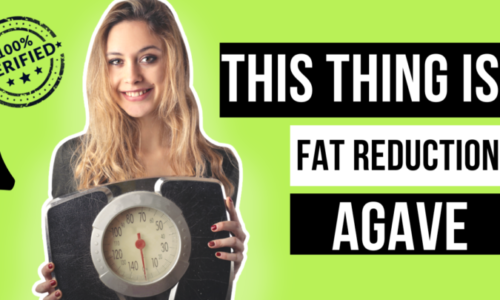Rajkotupdates.news : This is way to fat reduction agave