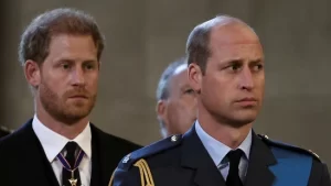Prince Harry claims William told him not to propose to Meghan because .