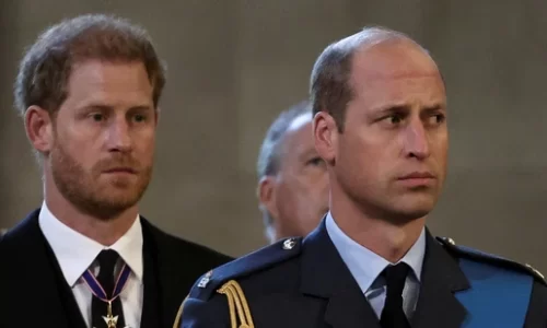 Prince Harry claims William told him not to propose to Meghan because .