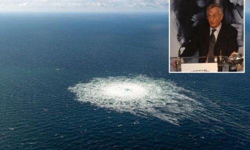 US Navy divers blew up the Nord Stream pipelines in Baltic Sea