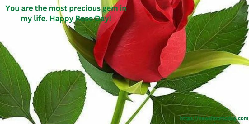 You are the most precious gem in my life. Happy Rose Day!