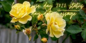 happy rose day 2023 status rose day date message